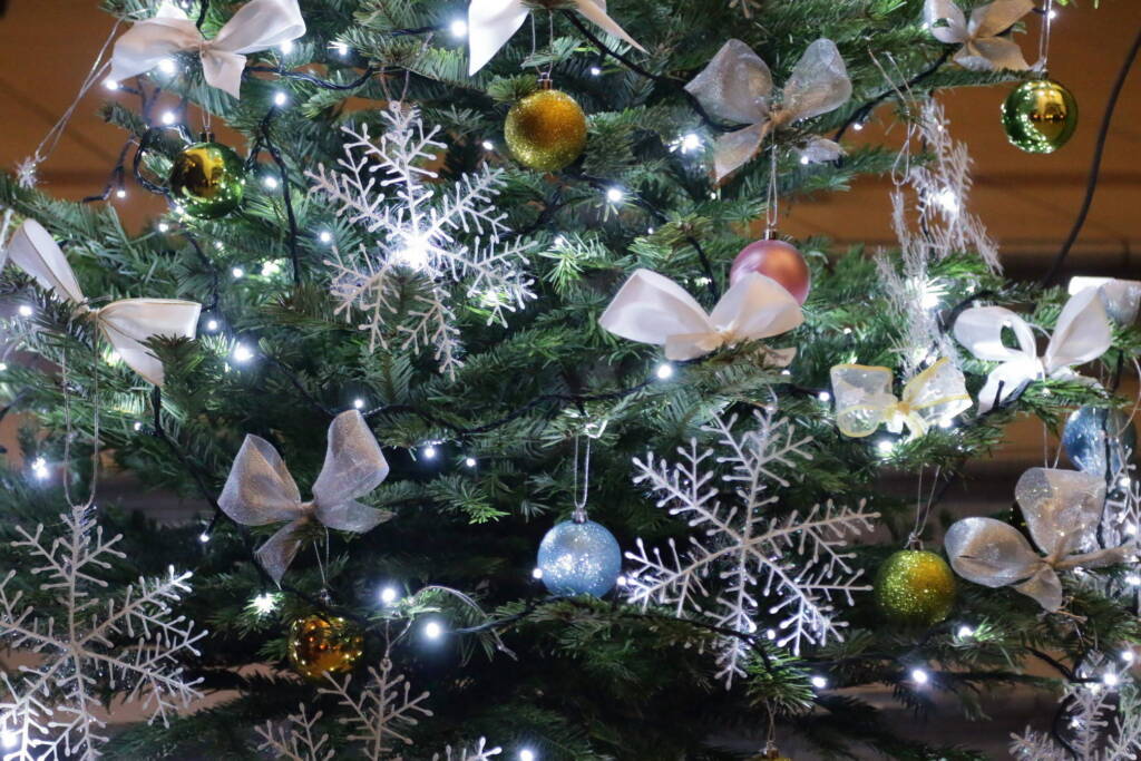 Праздник Рождества Христова в Вознесенском кафедральном соборе города Касимова